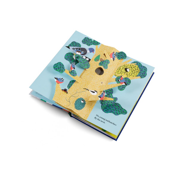 Six Little Birds - A Magical, Rhyming Pop Up Book