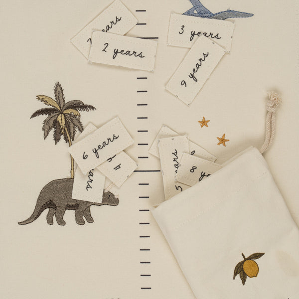 Dinosaur Embroidered 'How Tall Am I Now' Height Wall Chart with Ages
