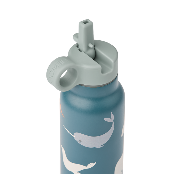 Falk Arctic Sea/Ocean View Print Screw Top Bottle (350ml)