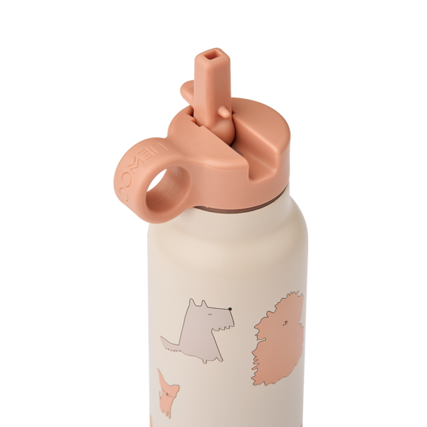 Falk Cats & Dogs Print Screw Top Bottle (350ml) (Sandy)
