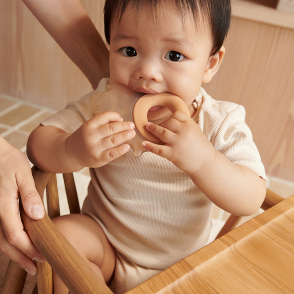 Rita Elephant Cooling Teether Set of 2 (Pale Tuscany/Sandy)