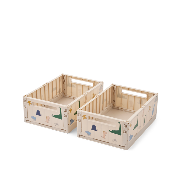 Weston Dino Roar Print Medium Storage Boxes Set of 2 (Sandy)