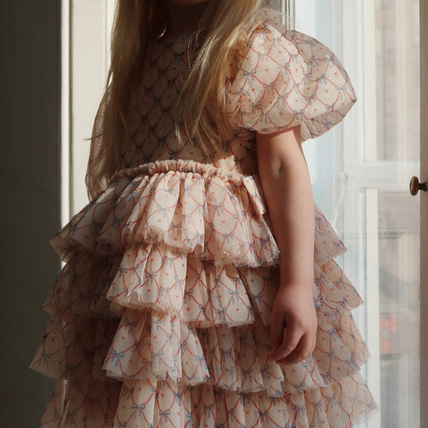 Fay Print Tulle Party Dress (Check Bowie)