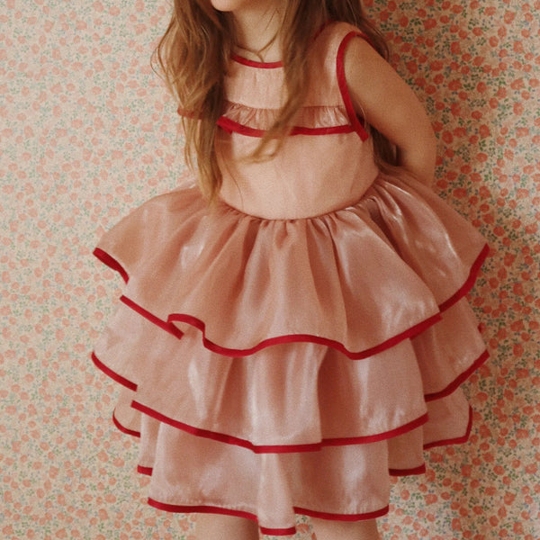 Shibon Ruffle Dress (Mellow Rose)