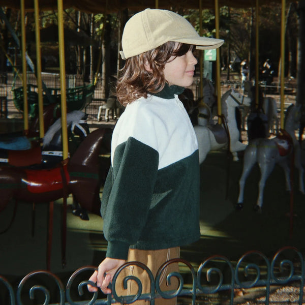 Tavi Half Zip Fleeced Sweatshirt (Scarab)