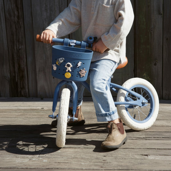 Banwood Pin & Ride Basket Pins (Space)