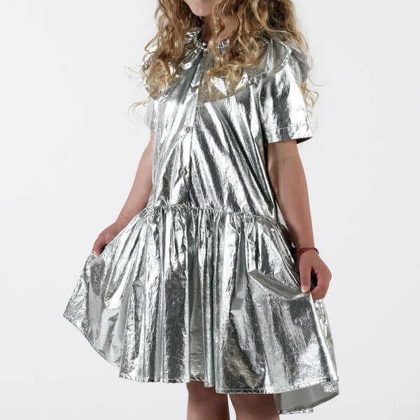 Graça Silver Metallic Frill Collar Dress