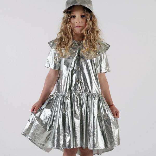 Graça Silver Metallic Frill Collar Dress