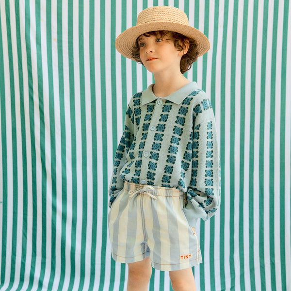 Stripes Cotton Twill Shorts (Washed Blue)