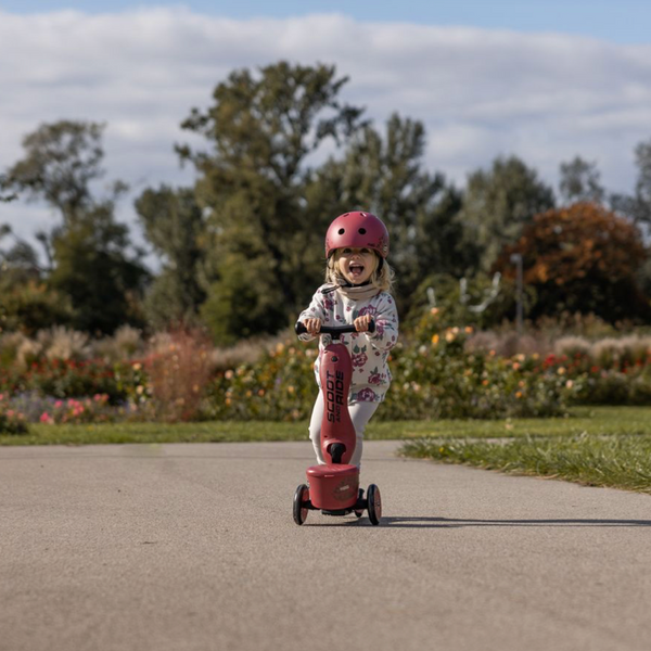 Highway Kick 1 Scooter and Pushbike All-in-One (Wildcat)