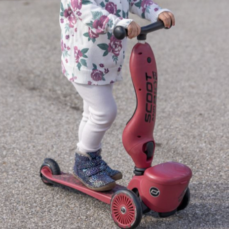 Highway Kick 1 Scooter and Pushbike All-in-One (Wildcat)