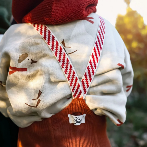 Silly Silas Festive Tights with Braces (Cinnamon)