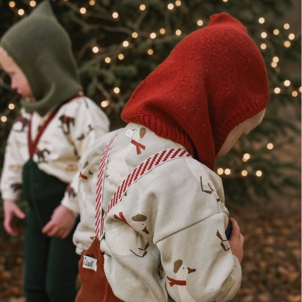 Silly Silas Festive Tights with Braces (Cinnamon)