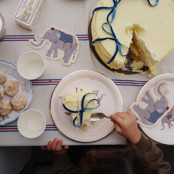 Safari Table + Party Decoration Celebration Kit