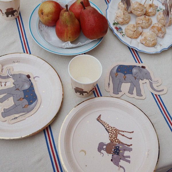 Safari Table + Party Decoration Celebration Kit