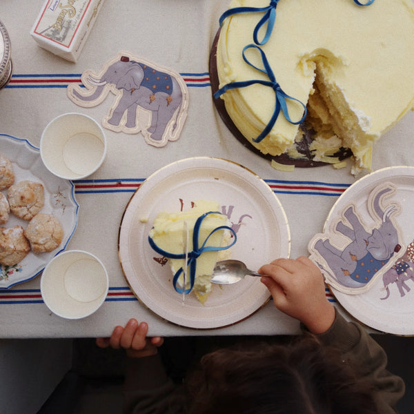 Safari Table + Party Decoration Celebration Kit