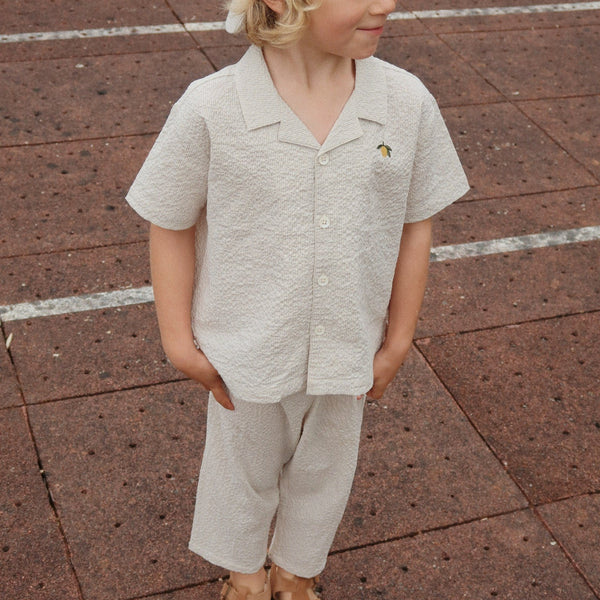 Elliot Cotton Stripe Seersucker Pants (Quarry Stripe)