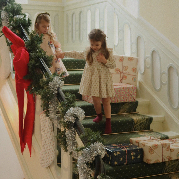 Avi Winter Berry Print Bow Back Cotton Dress (Cremona)