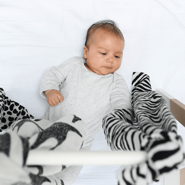 Etta Loves Sensory Essential Starter Kit
