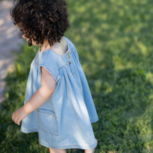 Carlotta Short Sleeved Denim Dress