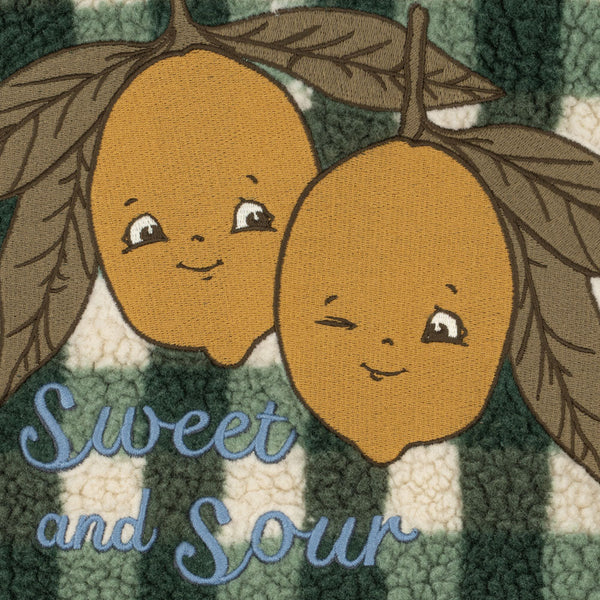 Jody Lemon Motif Check Teddy Borg Fleece Jacket (Green Check)