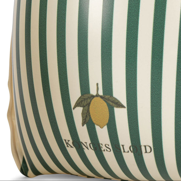 Striped Lemon Motif Inflatable Water Wings (Green Stripe)