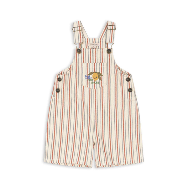 Frankie Cotton Twill Stripe Dungarees (Stripe Winds)