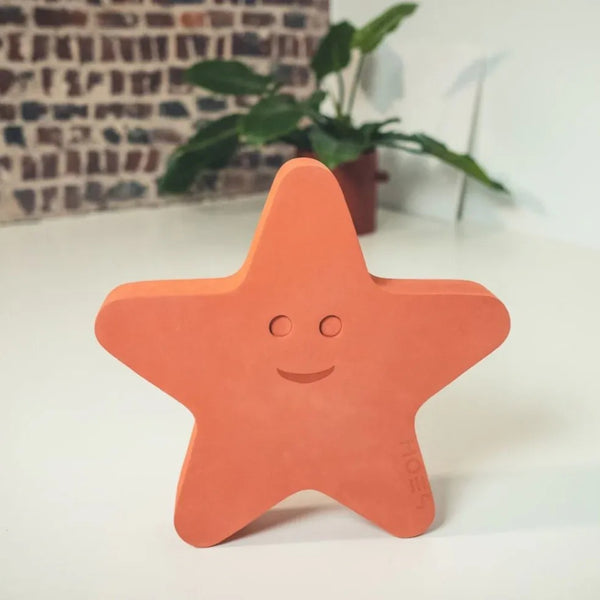 Starfish Foam Balancing Toy