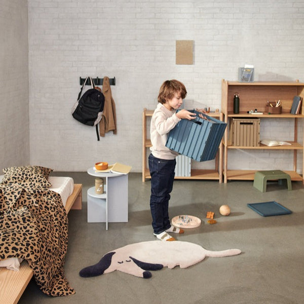 Elijah Collapsible Storage Box with Lid (Whale Blue)