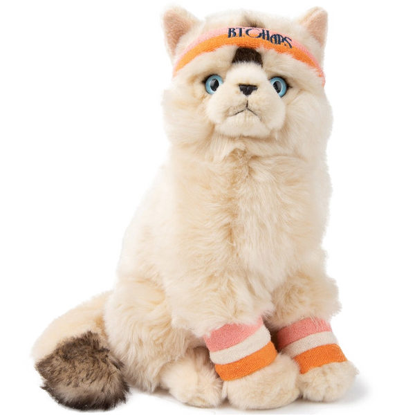 Dolly the Ragdoll Toy Cat