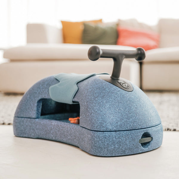 My First 3-in-1 Ride On Walker (Steel)