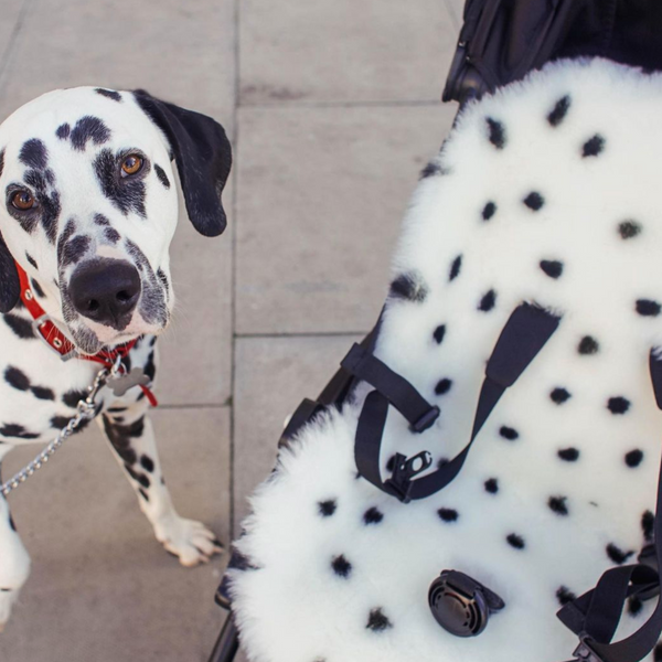 Spotted Sheepskin Snuggler (Dalmation Dot)