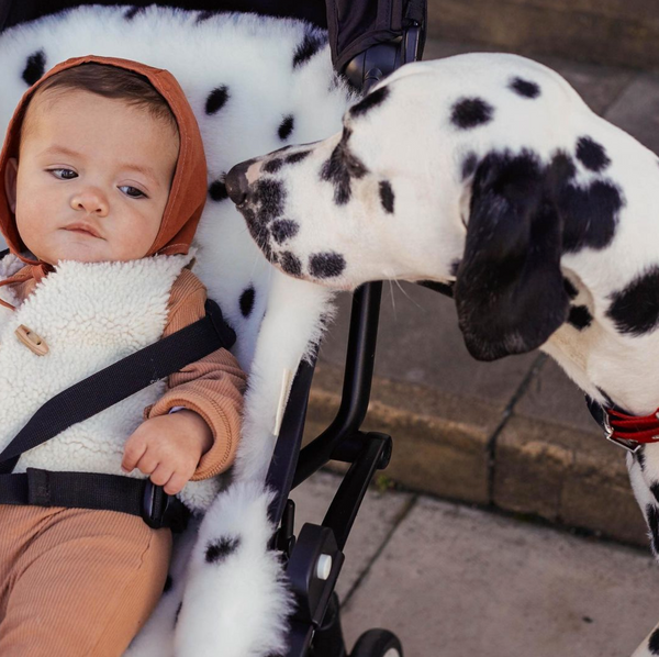 Spotted Sheepskin Snuggler (Dalmation Dot)