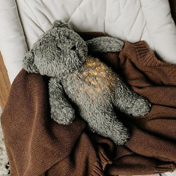 Humming Bear Organic Cuddly Toy Night Light  (Grey)